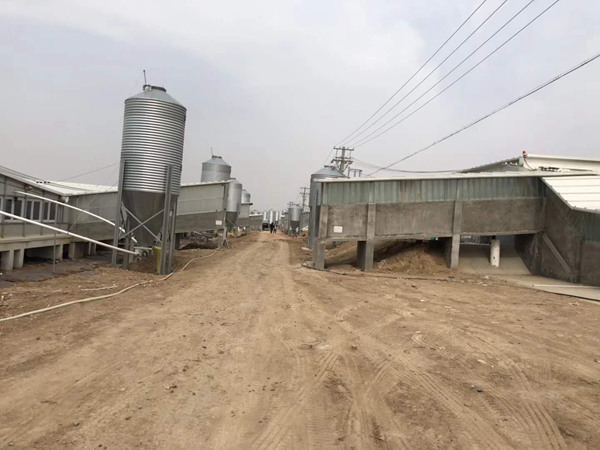 1545438366852272.jpg 处理后5.jpg