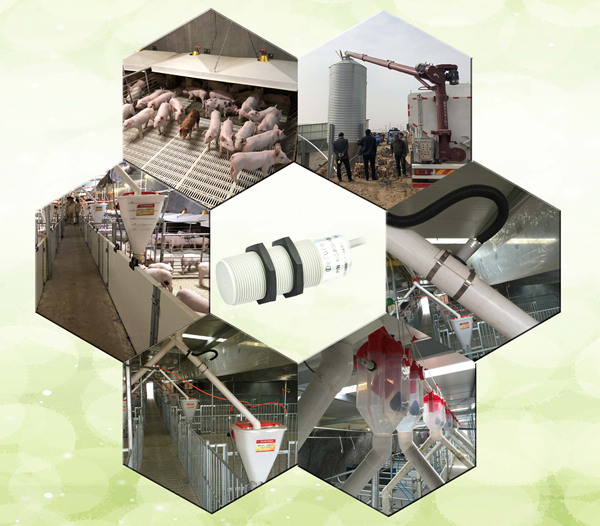 1545439144490732.jpg 处理后7.jpg