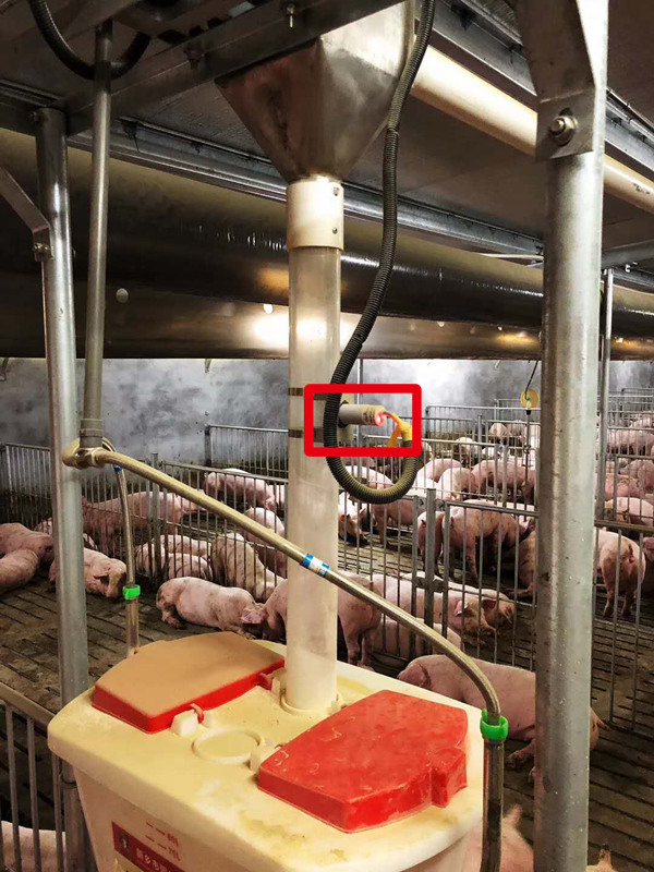 1545439163470642.jpg 处理后3.jpg